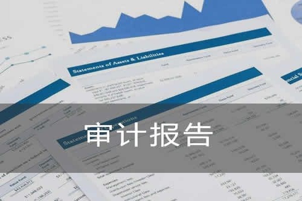 什么是税务审查报告？什么是审计报告？